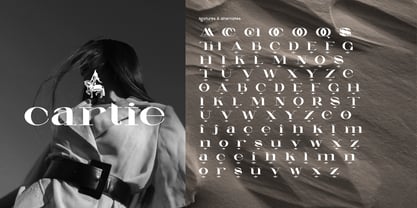 Celarin Font Poster 2