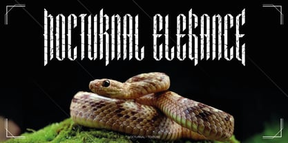 Nocturnum Font Poster 4