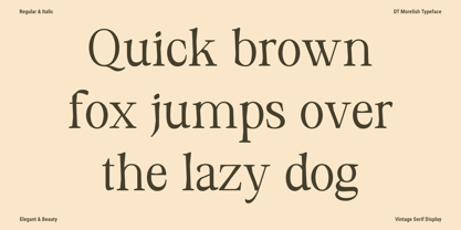 DT Morelish Font Poster 3