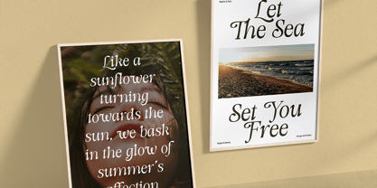 DT Morelish Font Poster 8