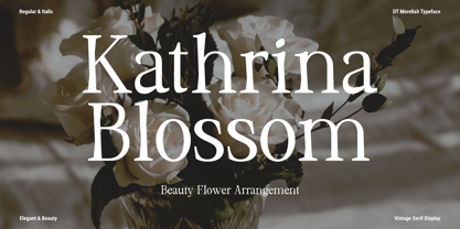 DT Morelish Font Poster 7