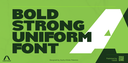 Nsai Pro Font Poster 3