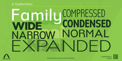 Nsai Pro Font Poster 4