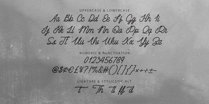 MC Heatched Font Poster 7