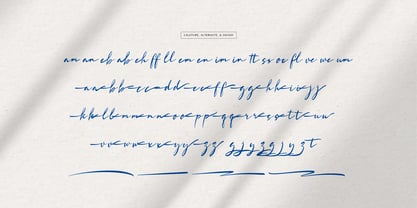 Lowreika Augusta Font Poster 12