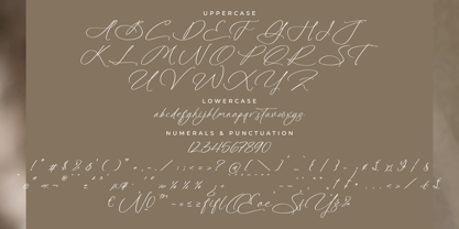 Platimye Font Poster 7