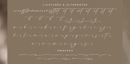 Platimye Font Poster 8