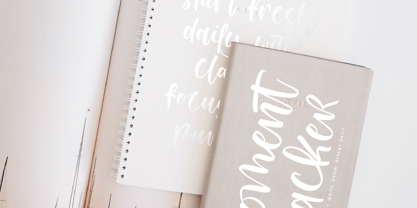 Smiling Daisy Font Poster 13