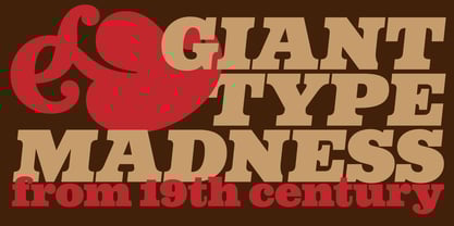 LMT Diacho Font Poster 15