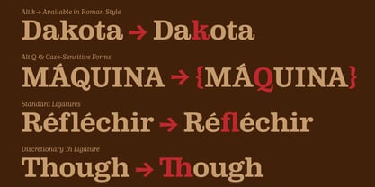 LMT Diacho Font Poster 5