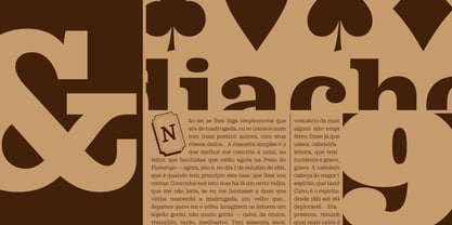 LMT Diacho Font Poster 10