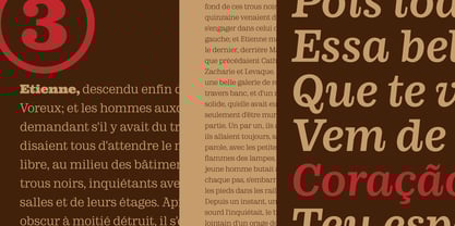 LMT Diacho Font Poster 9