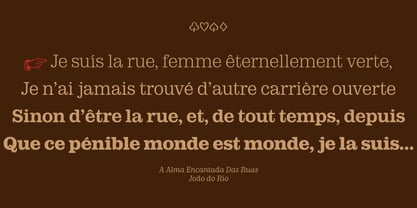 LMT Diacho Font Poster 14