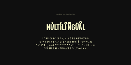 Qiula Font Poster 12