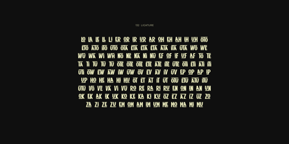 Qiula Font Poster 11