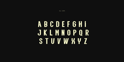 Qiula Font Poster 10