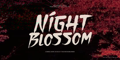 Aomine Kensai Font Poster 6