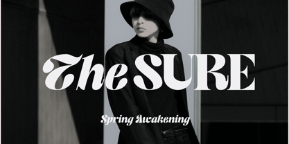 Batzie Font Poster 9