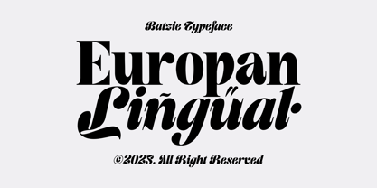 Batzie Font Poster 3