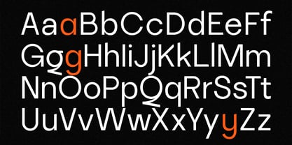 SLTF La Villa Font Poster 10