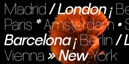 SLTF La Villa Font Poster 5