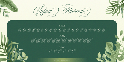 Hinykori Font Poster 6