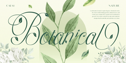 Hinykori Font Poster 3