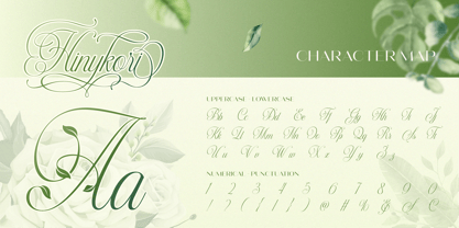 Hinykori Font Poster 2