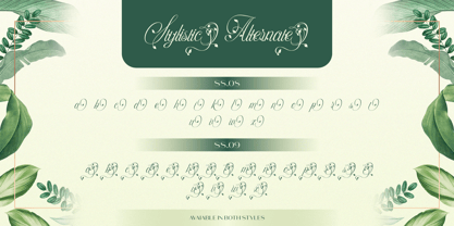 Hinykori Font Poster 9