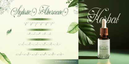 Hinykori Font Poster 7