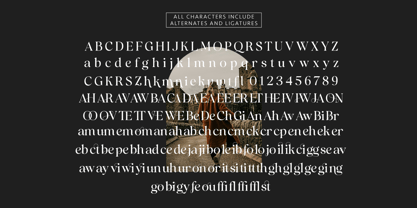 Blinkosta Font Poster 15