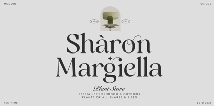 Blinkosta Font Poster 4