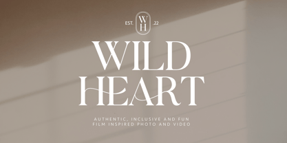 Blinkosta Font Poster 14