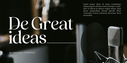 Blinkosta Font Poster 13