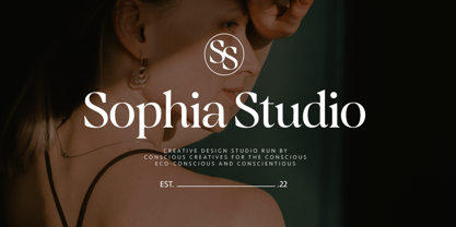 Blinkosta Font Poster 11