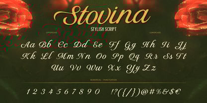 Stovina Font Poster 5