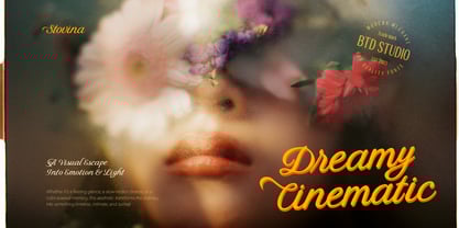 Stovina Font Poster 9