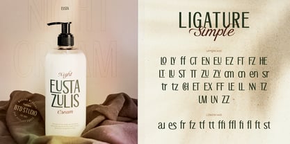 Stovina Font Poster 6