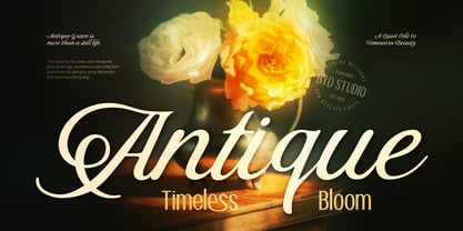 Stovina Font Poster 3