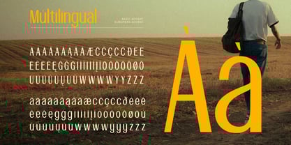 Stovina Font Poster 11