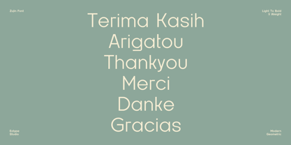 Zujin Font Poster 12