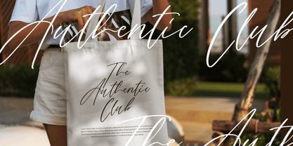 Methonia Font Poster 12