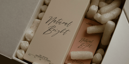 Methonia Font Poster 9