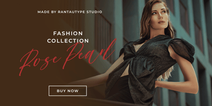 Methonia Font Poster 6