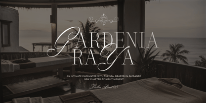 Silver Brands Font Poster 4