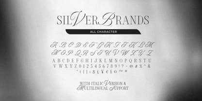Silver Brands Font Poster 9