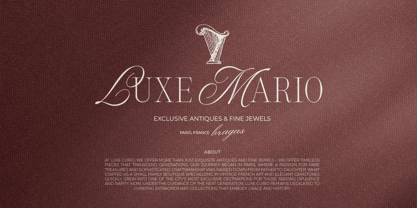 Silver Brands Font Poster 6