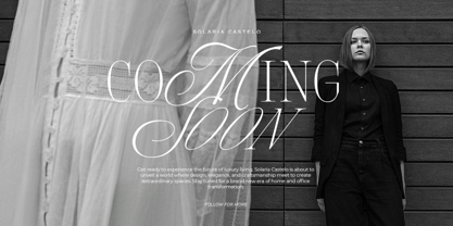 Silver Brands Font Poster 5