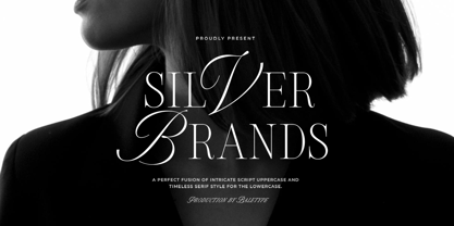 Silver Brands Font Poster 1