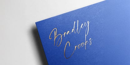 Franky Rain Font Poster 5